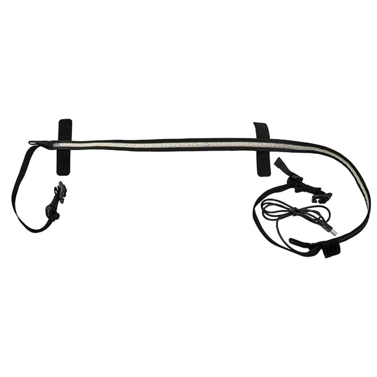 SUNBELT, , scanz_hi-res