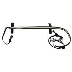 SUNBELT, , scanz_hi-res