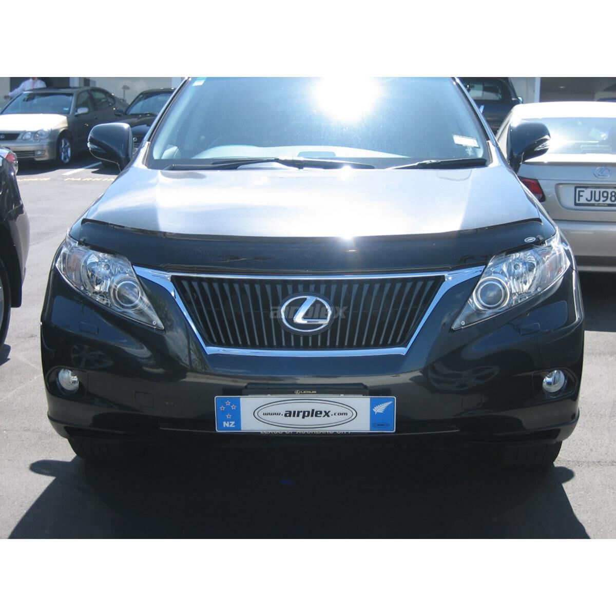 LEXUS RX350  2009+ (CLEAR), , scanz_hi-res