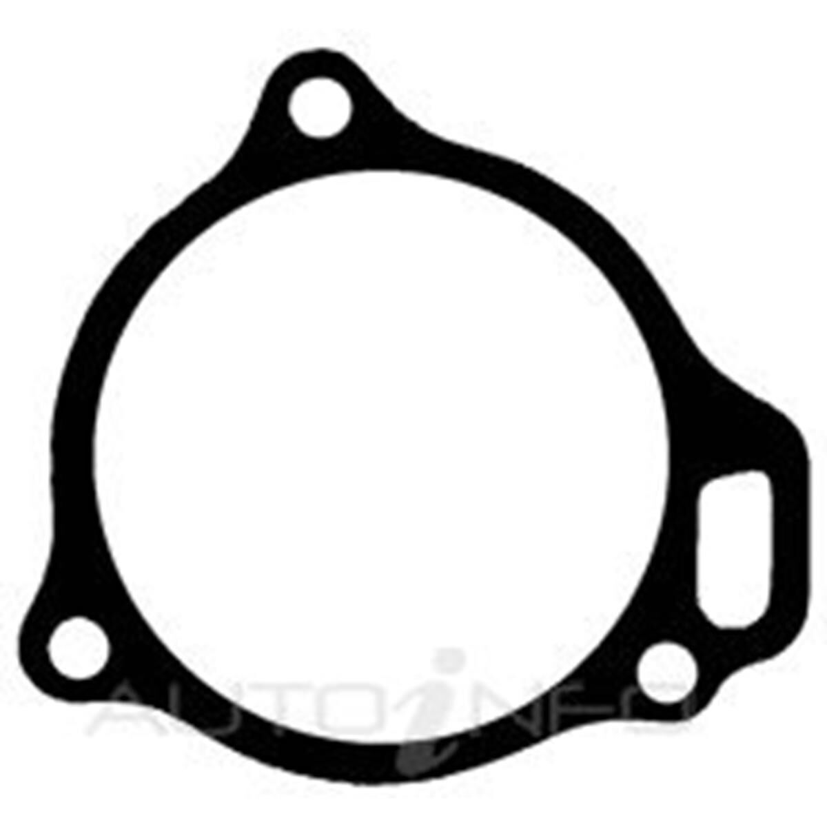 WATER PUMP GASKET HOLDEN, , scanz_hi-res