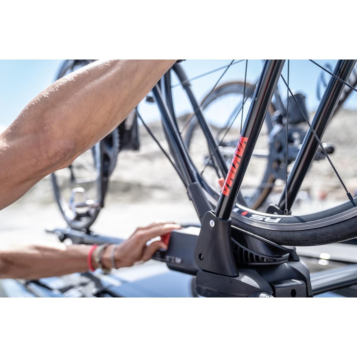 FRONTLOADER, , scanz_hi-res