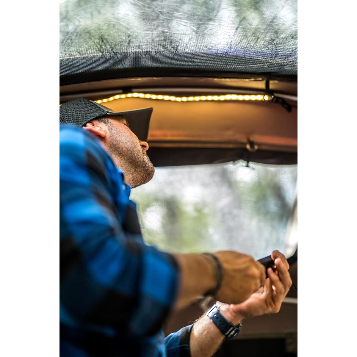 SUNBELT, , scanz_hi-res