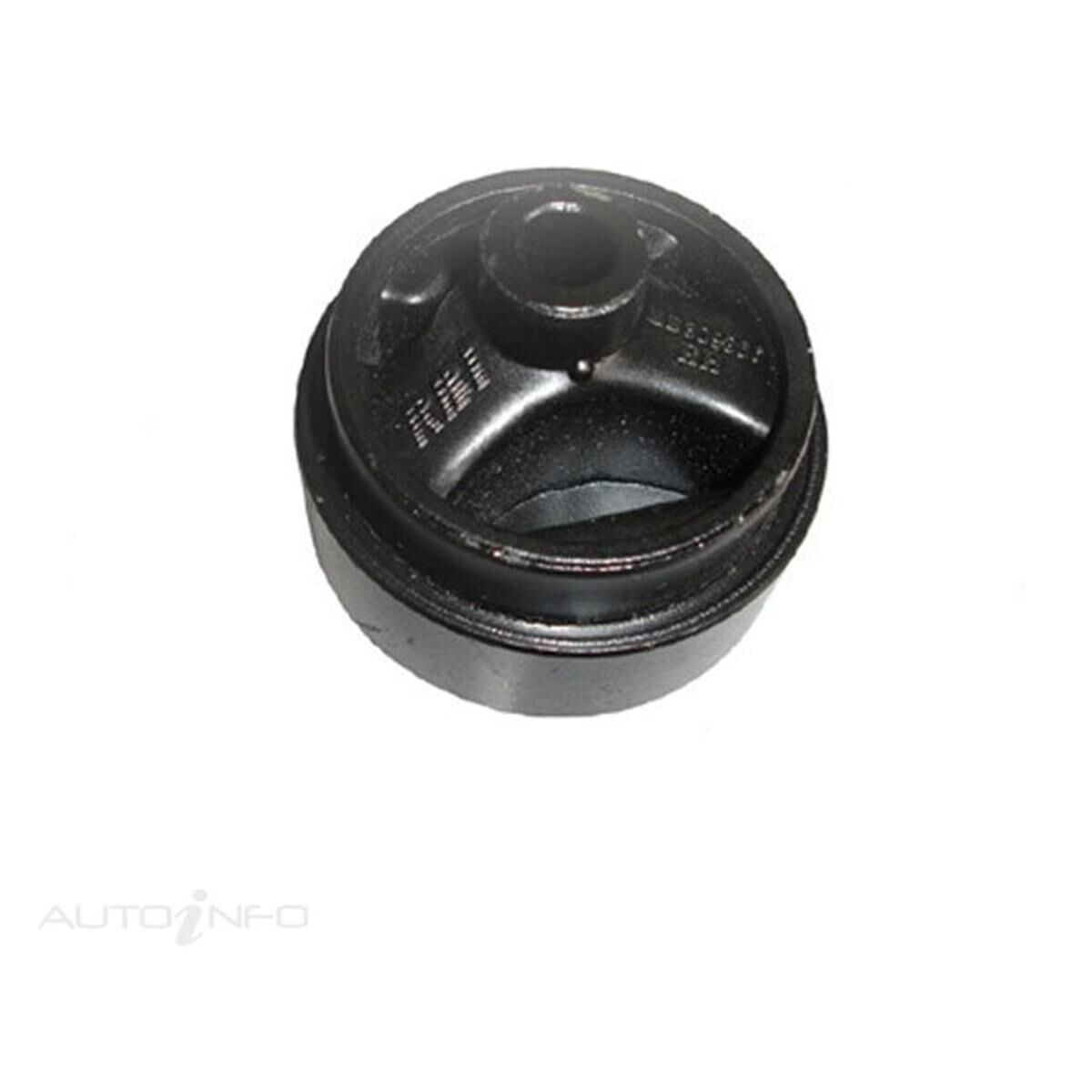 INSERT - ENG.MT, , scanz_hi-res