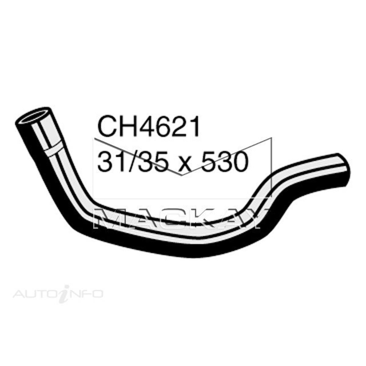 RADIATOR LOWER HOSE  - MINI COOPER S R53 - 1.6L I4 SUPERCHARGED PETROL - MANUAL, , scanz_hi-res