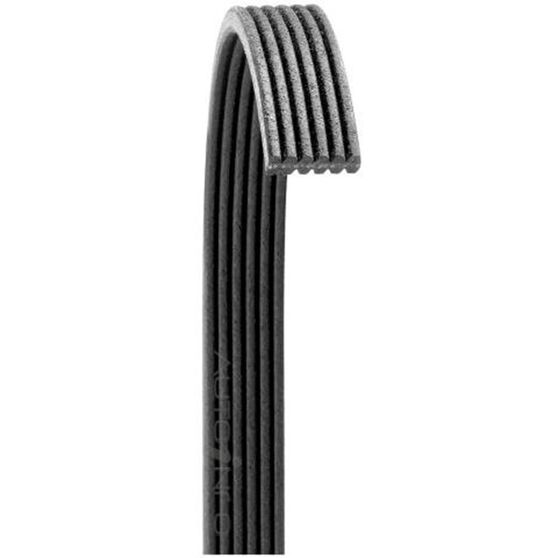 AUTO POLY RIB BELT DOUBLE SIDE, , scanz_hi-res