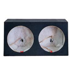 SUB BOX 12" DOUBLE BLK, , scanz_hi-res