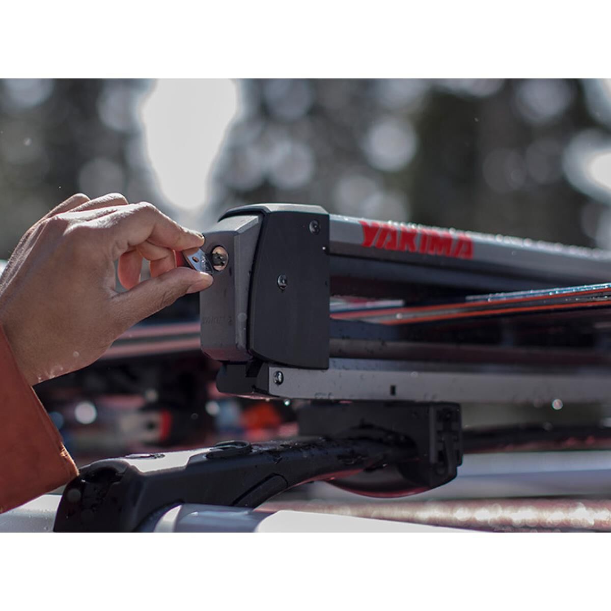 FRESHTRACK 4, , scanz_hi-res