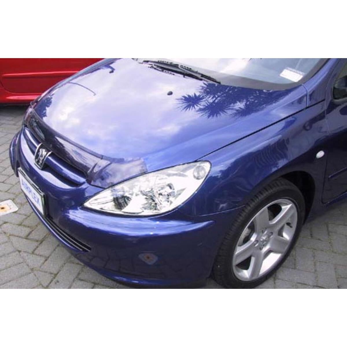 PEUGEOT 307 (CLEAR), , scanz_hi-res