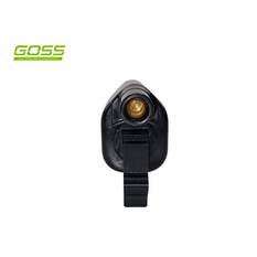 IGNITION COIL FORD/NISSAN, , scanz_hi-res