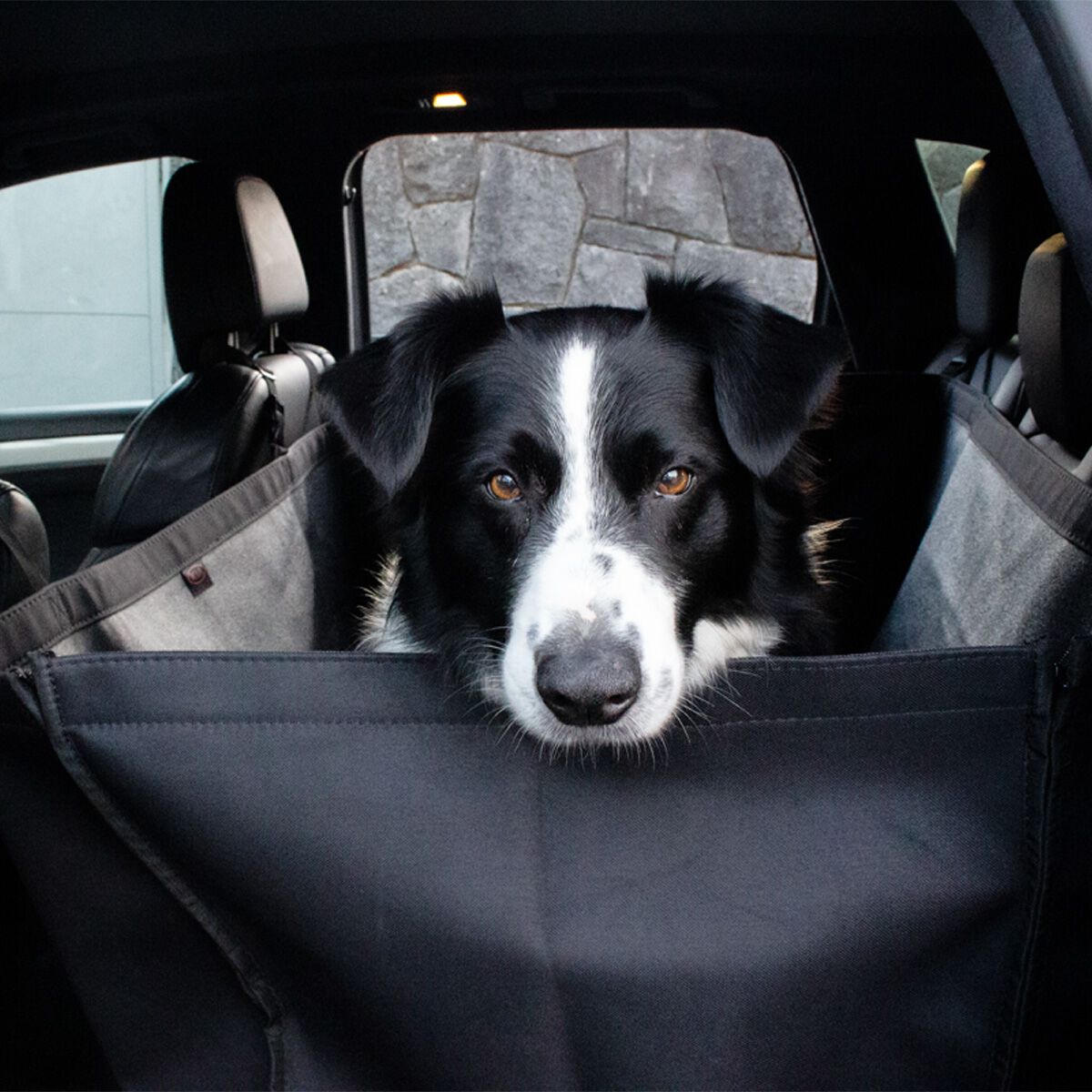 UNIVERSAL HEAVY DUTY PET SEAT COVERS, , scanz_hi-res