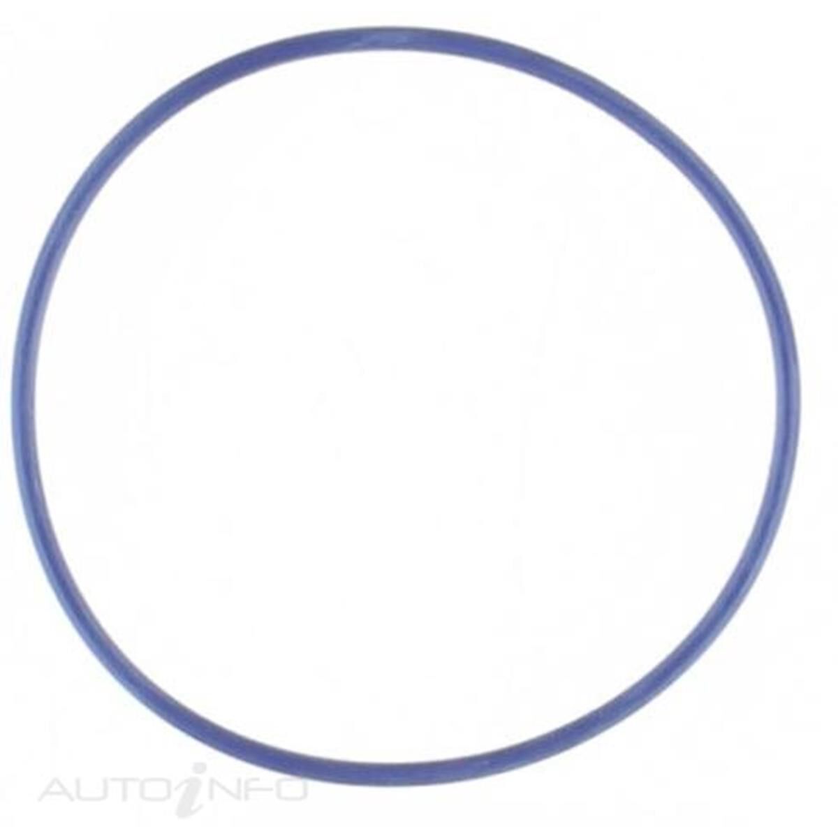 WATER PUMP GASKET FORD 5.4, , scanz_hi-res