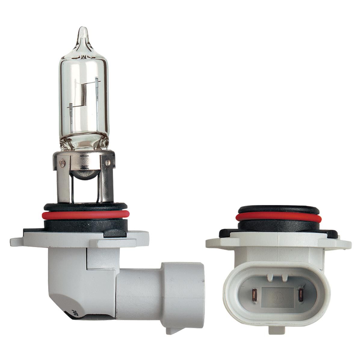 GLOBE HALOGEN HB3 12V 65W P20D, , scanz_hi-res