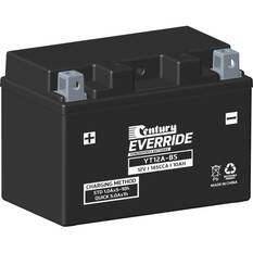 POWERSPORTS BATTERIES - YT12A-BS, , scanz_hi-res