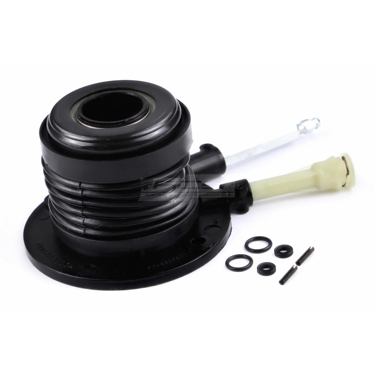 CSC HOLDEN COLORADO, , scanz_hi-res