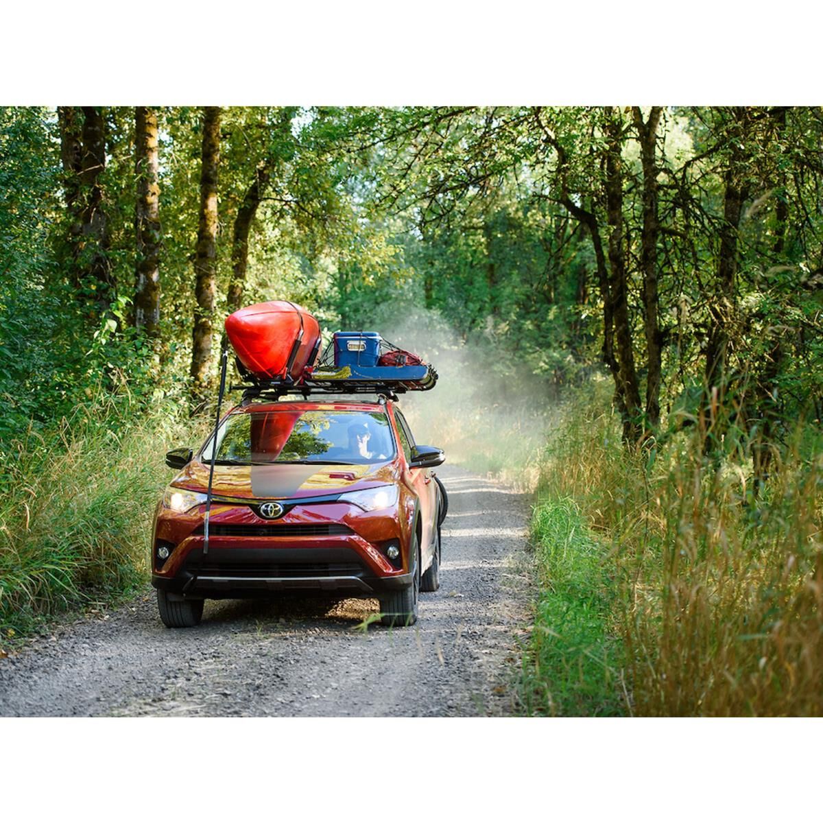 OFFGRID MEDIUM, , scanz_hi-res