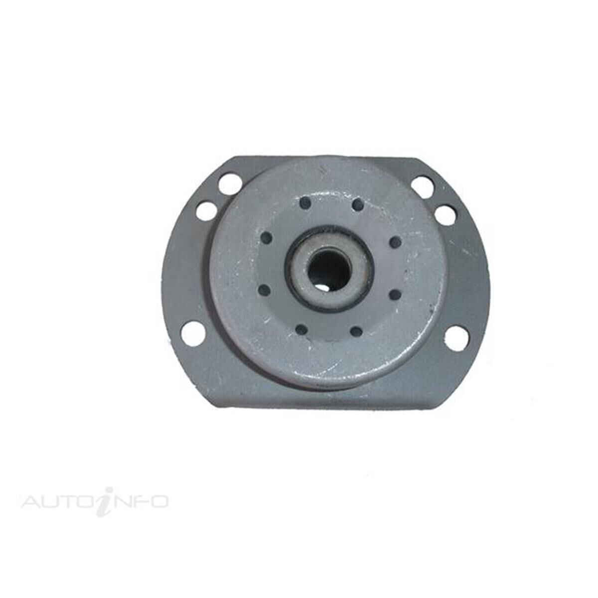 HYDRAULIC - COMMODORE VT-VY STRUT - CHASSIS BUSH, , scanz_hi-res