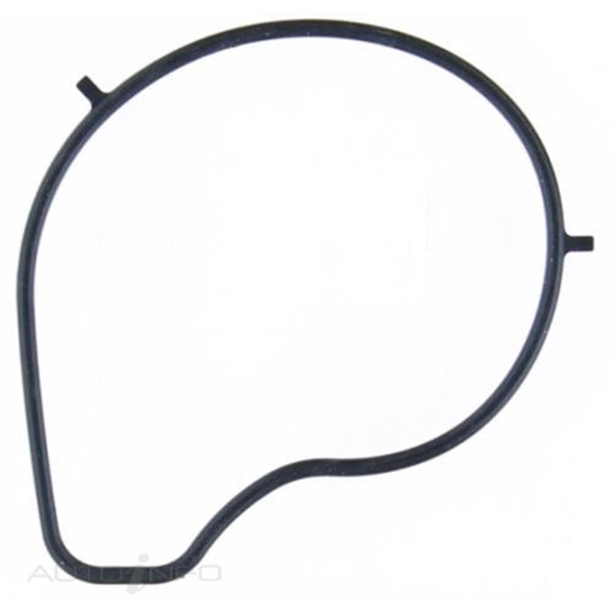 WATER PUMP GASKET MAZDA ZY, , scanz_hi-res