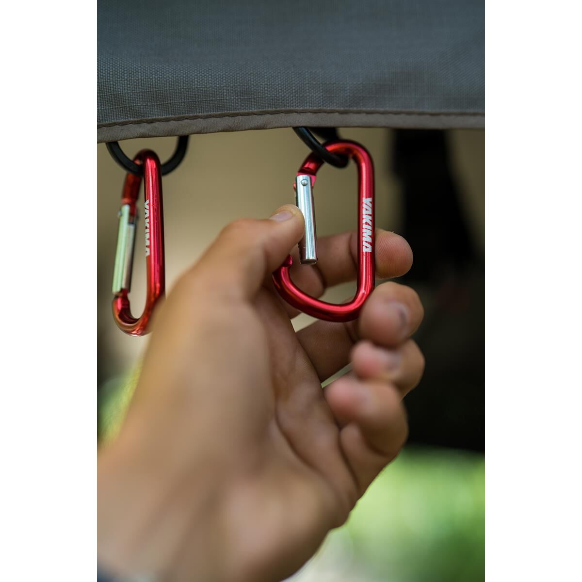 SKYHOOKS, , scanz_hi-res