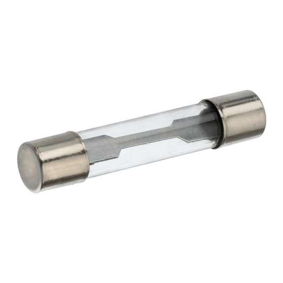 GLASS FUSE 10AMP PK5, , scanz_hi-res