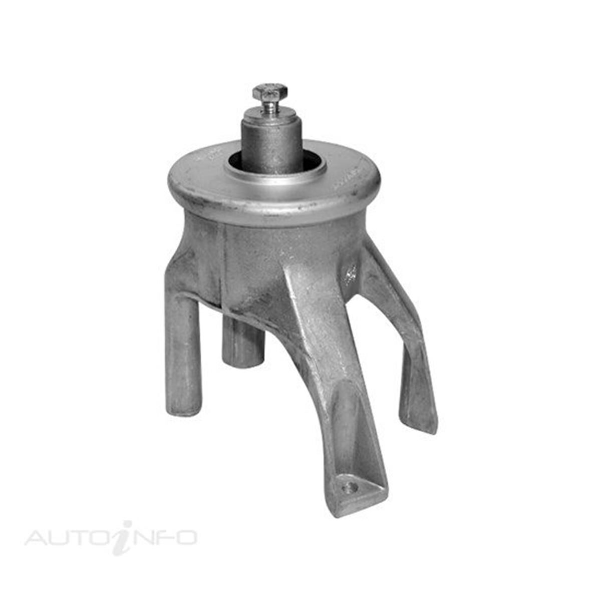 VW TRANSPORTER V REAR, , scanz_hi-res