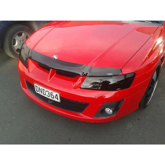 HOLDEN COMMODORE VZ (BRONZE), , scanz_hi-res