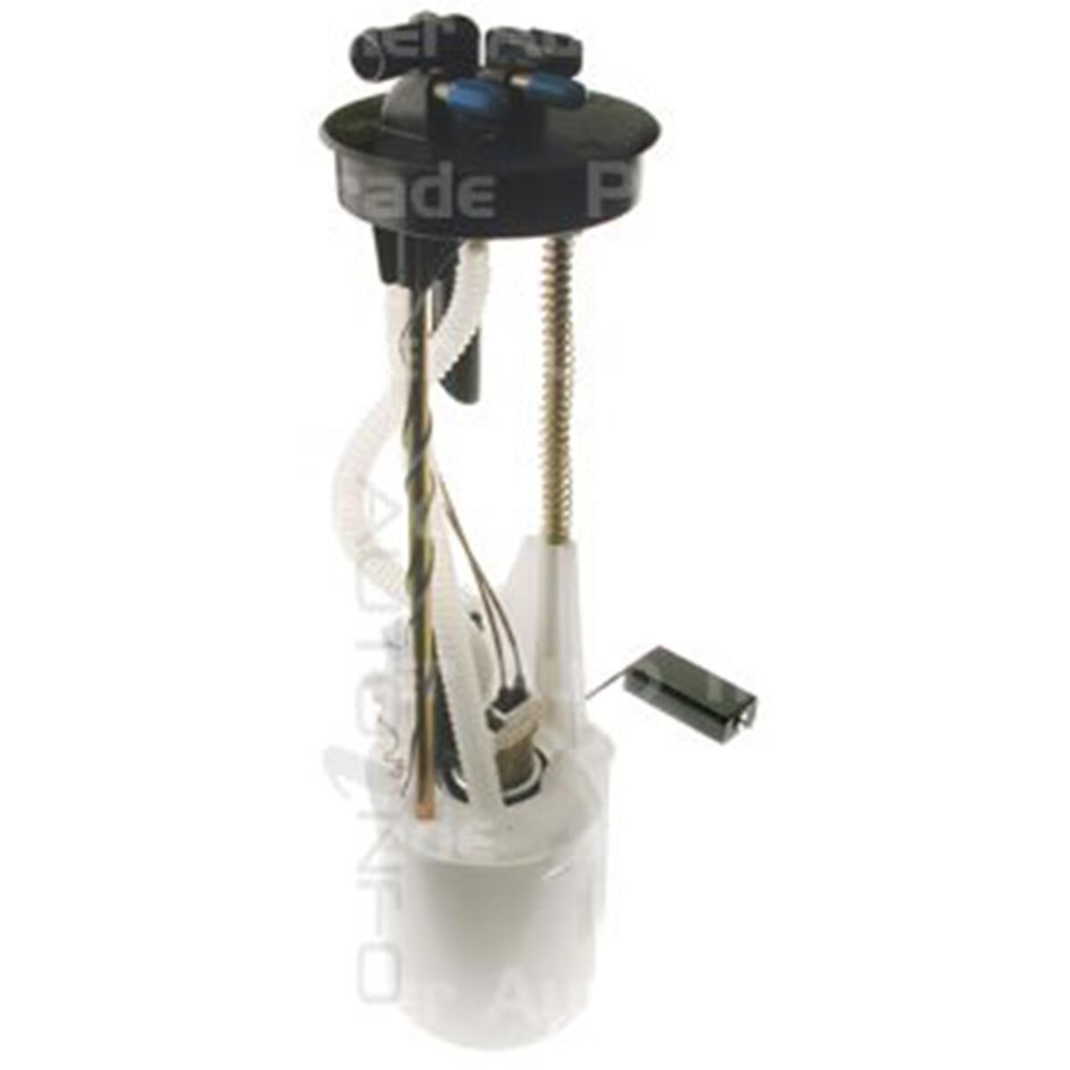 Fuel Pump Module Assembly | Supercheap Auto New Zealand