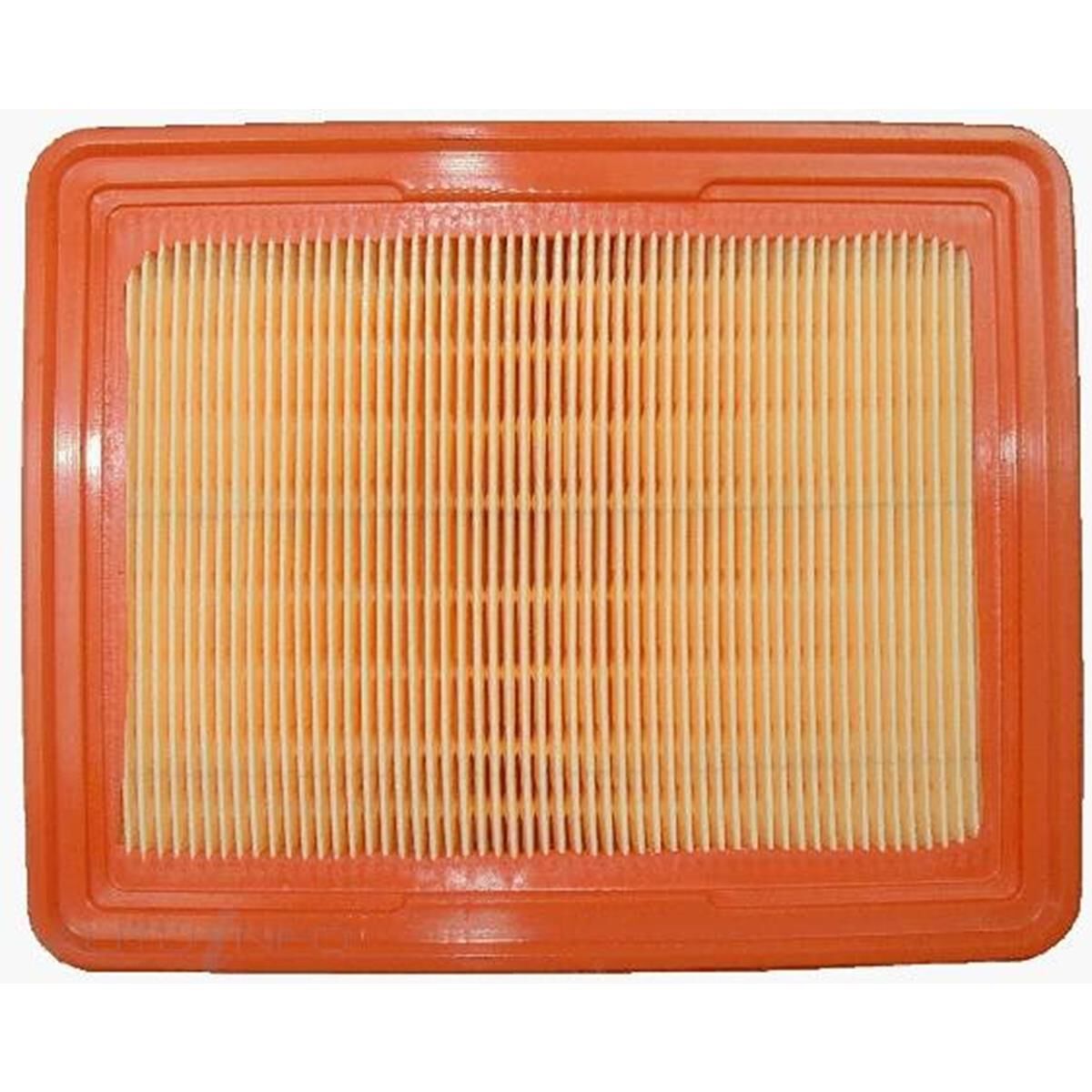 RYCO AIR FILTER, , scanz_hi-res
