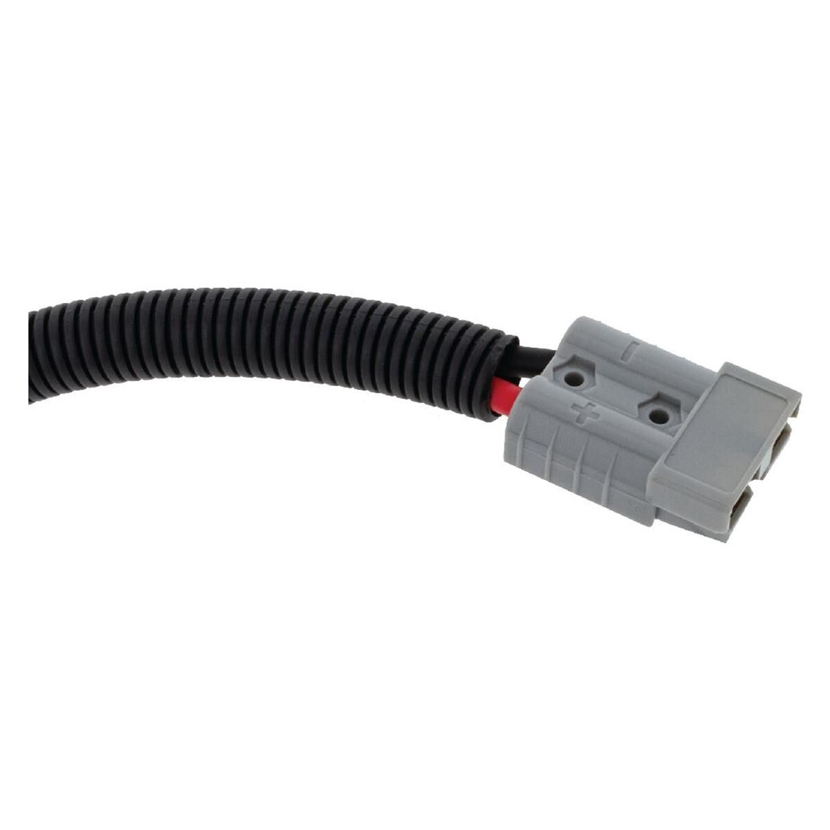 ANDERSON PLUG 50a - MC4 SOLAR PLUG CABLE ASSY 300mm LONG, , scanz_hi-res