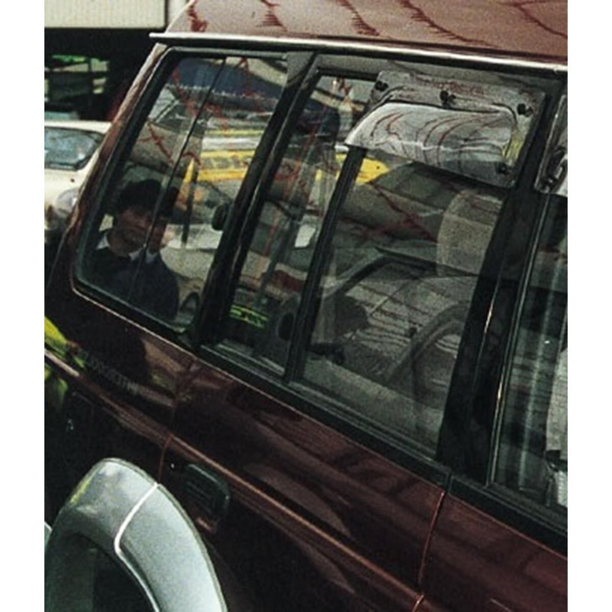 MITSUBISHI PAJERO 1991-99 (REAR DR WS), , scanz_hi-res