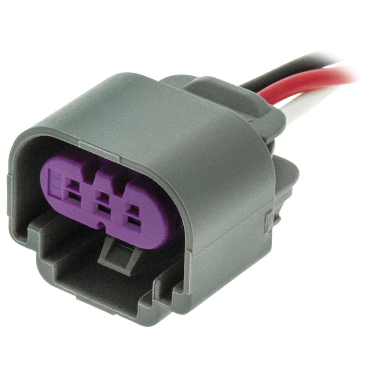 GLOBE SOCKET H13, , scanz_hi-res