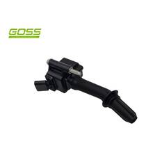 IGNITION COIL HOLDEN, , scanz_hi-res