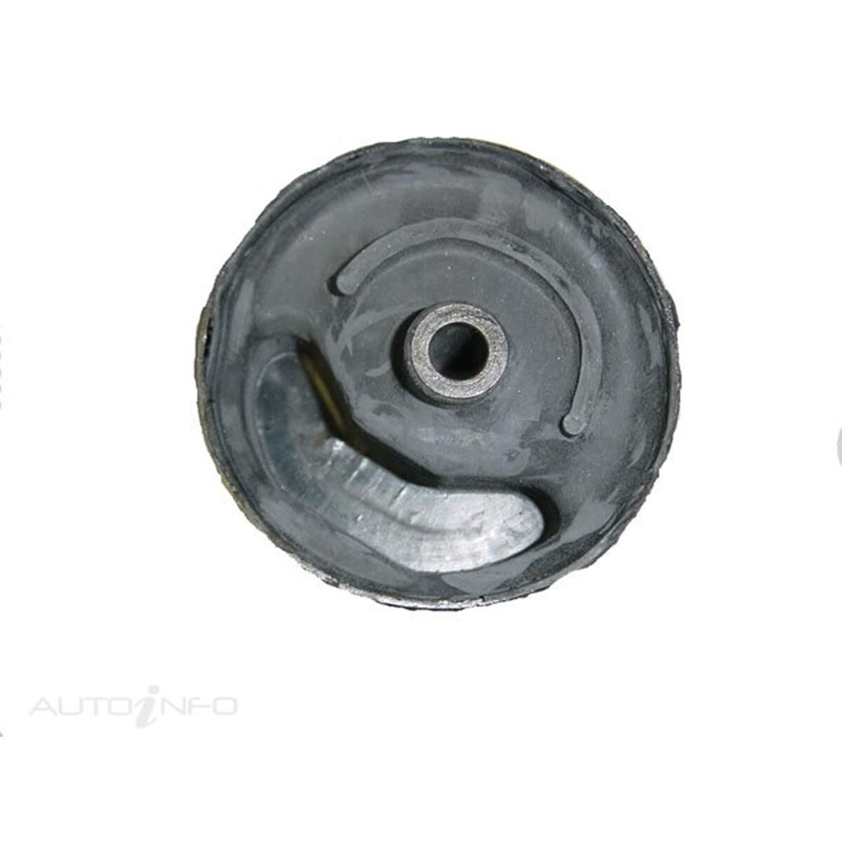 INSERT - N/S BLUEBIRD   ID10.4,OD90.2,TH80,OH62 (ALL MM), , scanz_hi-res