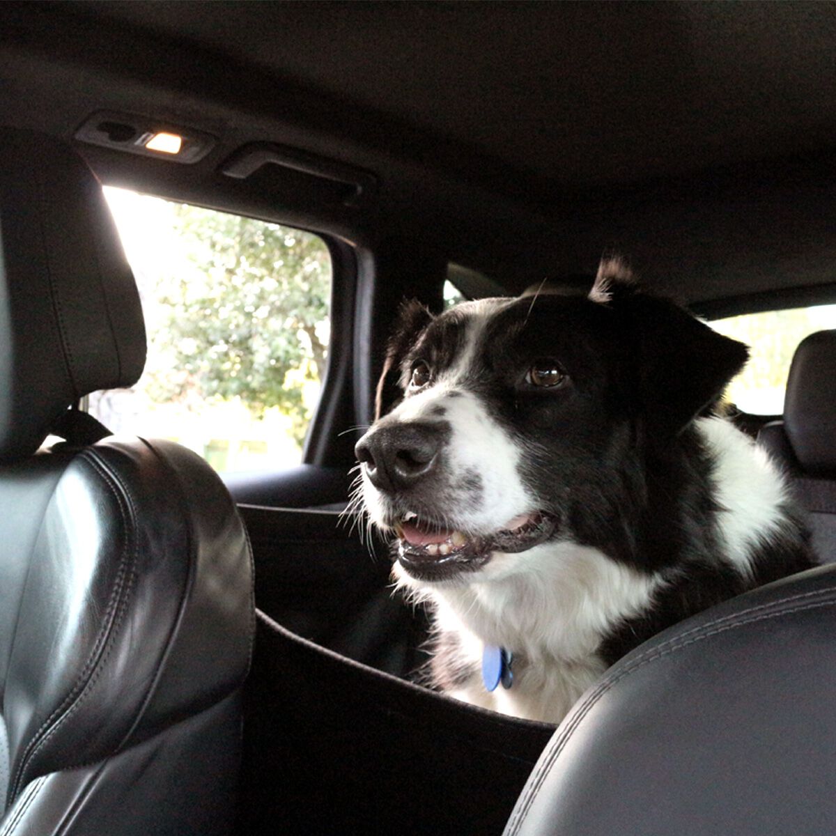 UNIVERSAL HEAVY DUTY PET SEAT COVERS, , scanz_hi-res