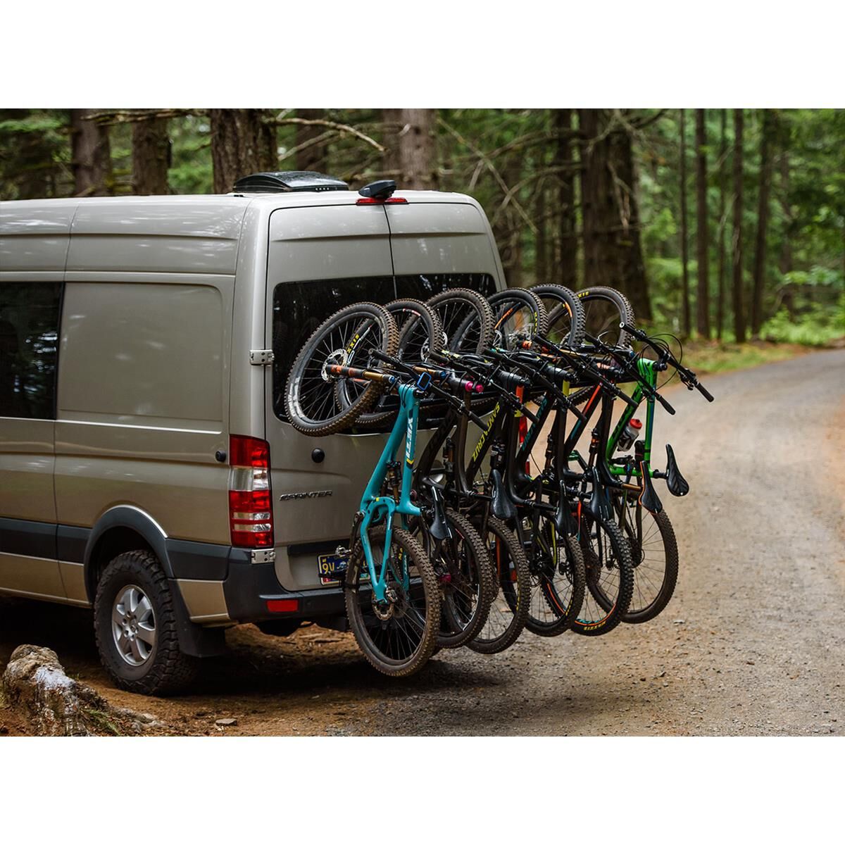 HANGOVER 4, , scanz_hi-res