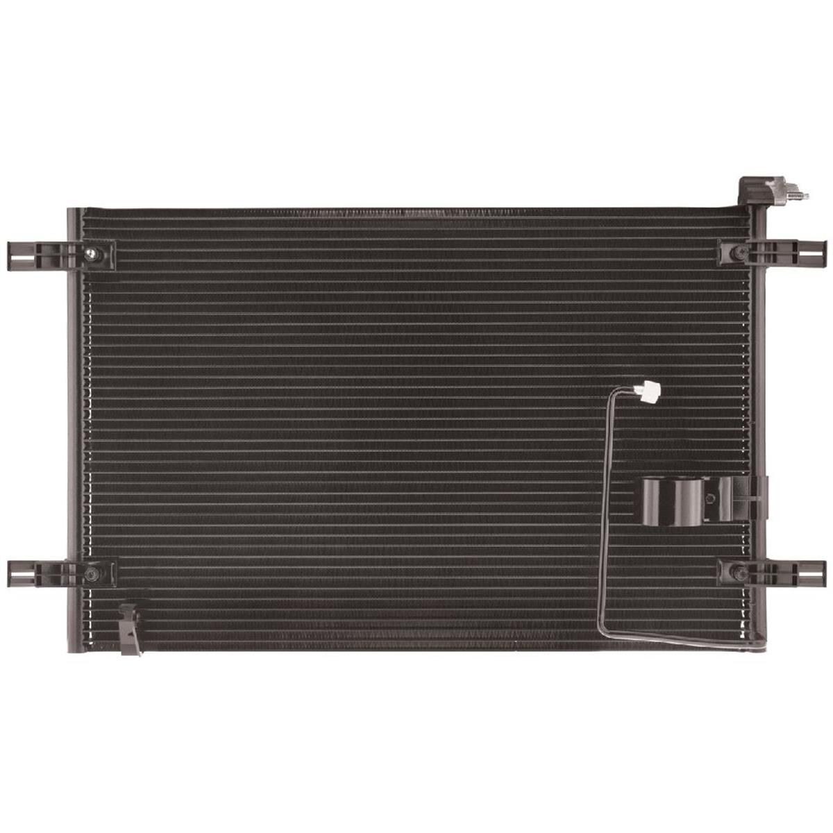COND COMMODORE VZ 8/04-, , scanz_hi-res