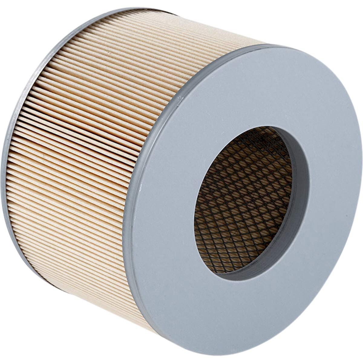 Ryco Air Filter - A1350, , scanz_hi-res