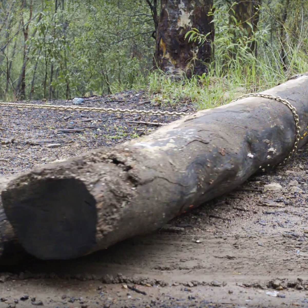 Ridge Ryder 4WD Drag Chain Kit, , scanz_hi-res