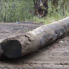 Ridge Ryder 4WD Drag Chain Kit, , scanz_hi-res