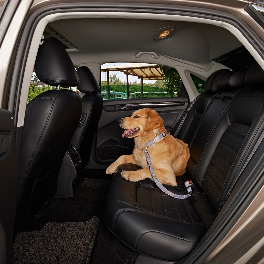 Cabin Crew Paw Print Headrest Lead Clip, , scanz_hi-res