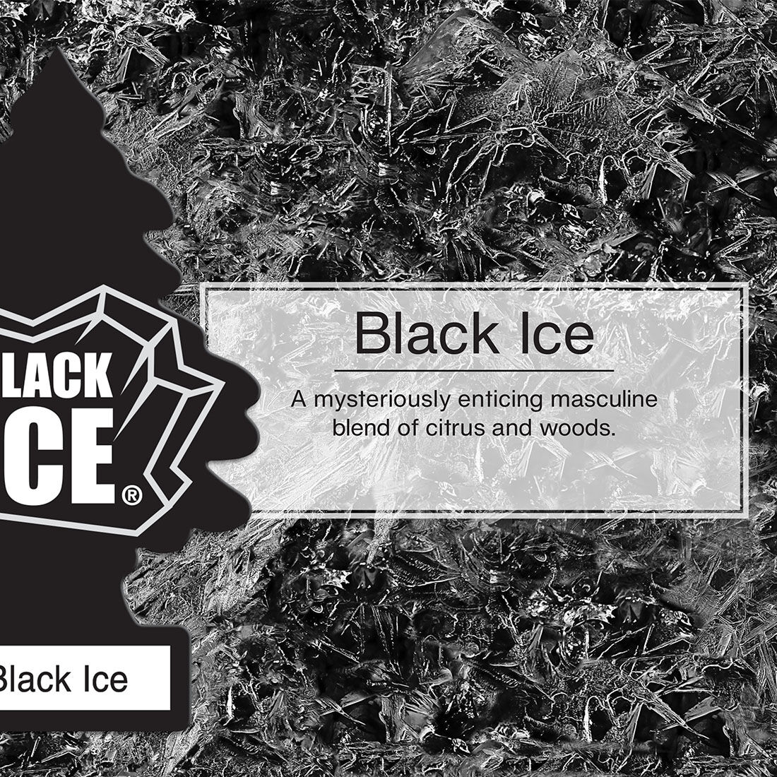 Little Trees Air Freshener Black Ice 1 Pack, , scanz_hi-res