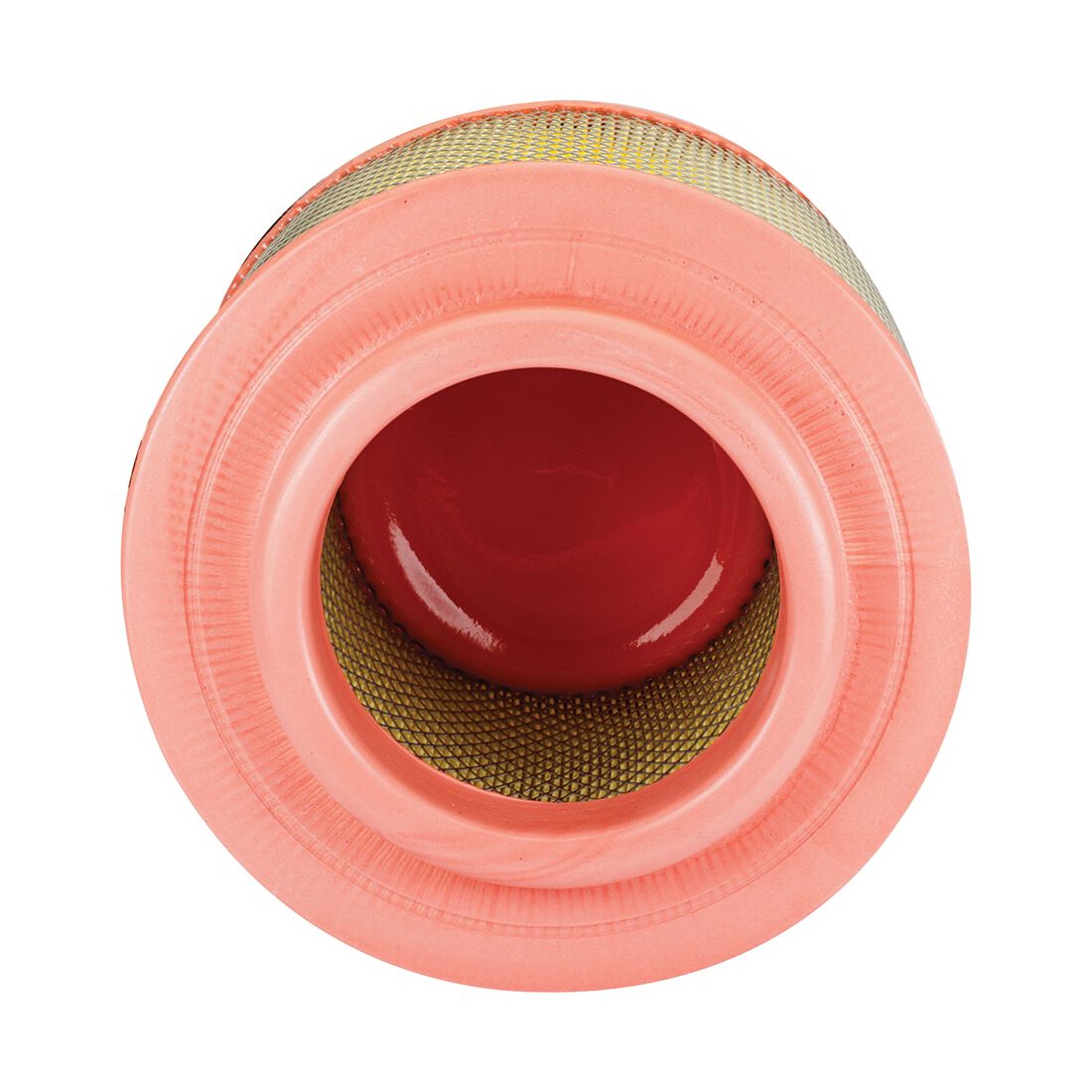 Penrite Air Filter PF3007 (Interchangeable with A1541), , scanz_hi-res