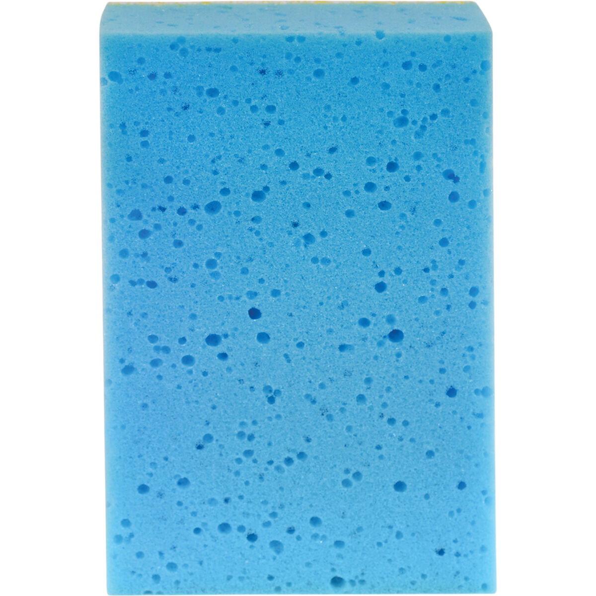 SCA Bug Sponge, , scanz_hi-res