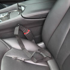 Cabin Crew Pets Seat Belt Harness, , scanz_hi-res