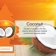 Little Trees Air Freshener - Coconut 1 Pack, , scanz_hi-res