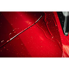 Turtle Wax Hybrid Solutions Ceramic Wet Wax 769mL, , scanz_hi-res