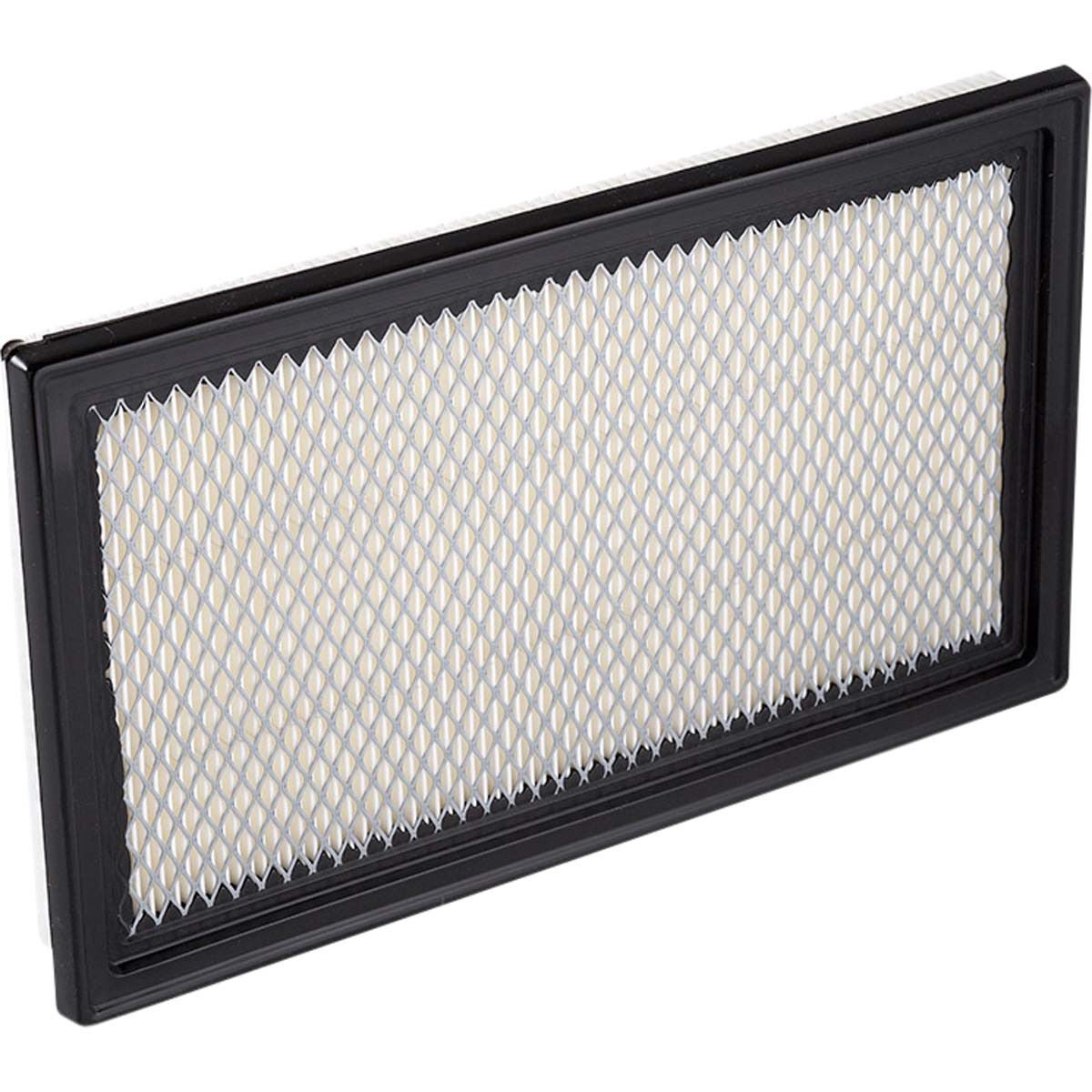 Ryco Air Filter - A360, , scanz_hi-res