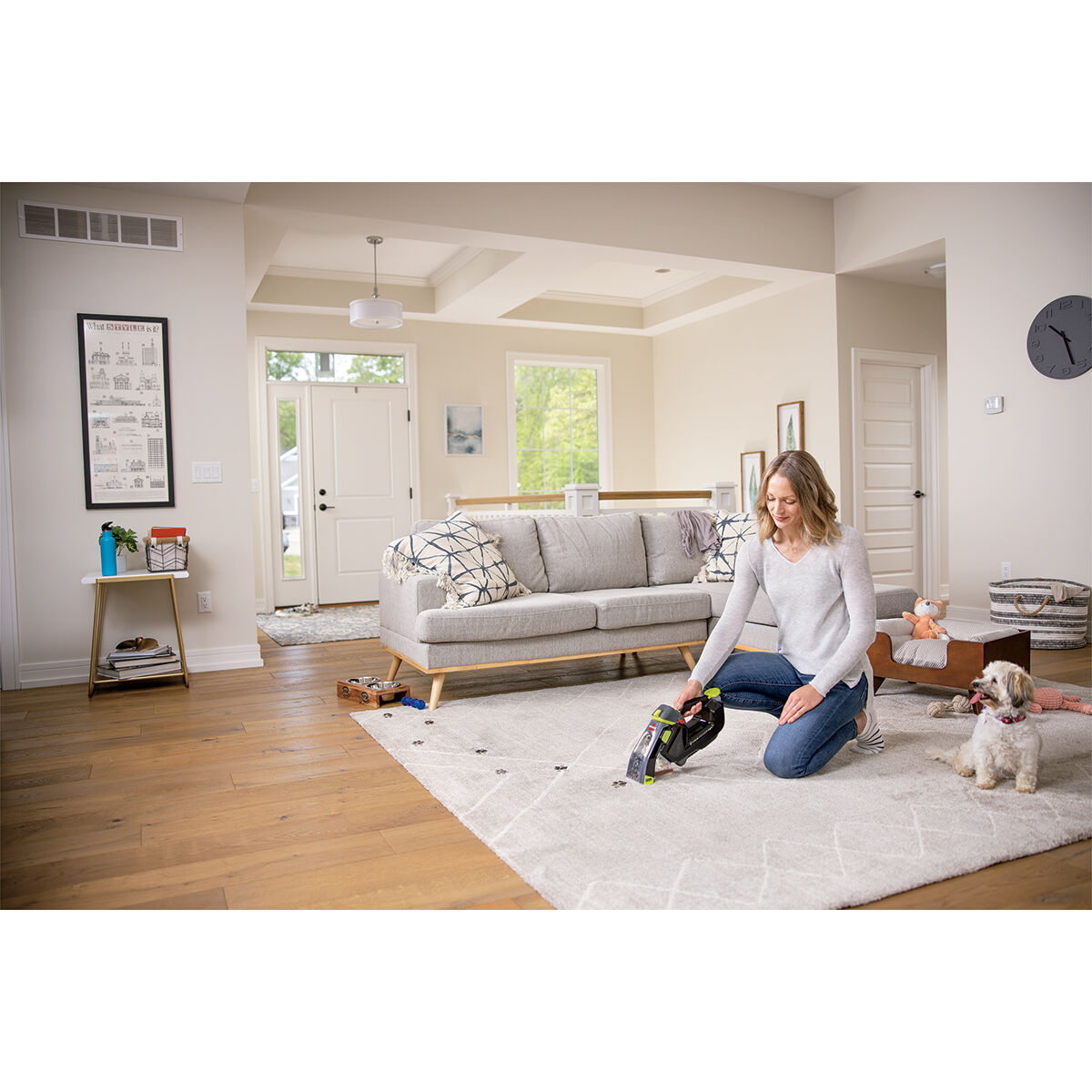 Bissell Stain Eraser Pet, , scanz_hi-res