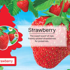 Little Trees Air Freshener - Strawberry 1 Pack, , scanz_hi-res