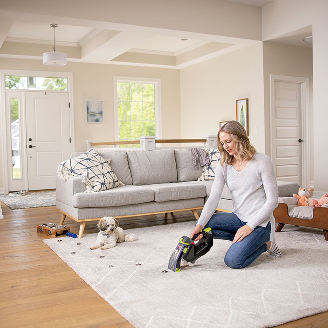 Bissell Stain Eraser Pet, , scanz_hi-res