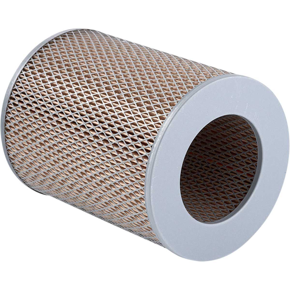 Ryco Air Filter - A310, , scanz_hi-res